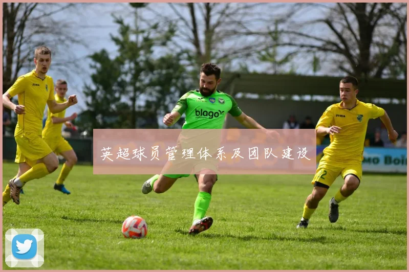 英超球员管理体系及团队建设