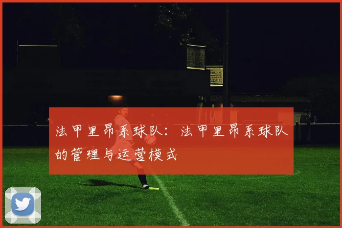法甲里昂系球队：法甲里昂系球队的管理与运营模式